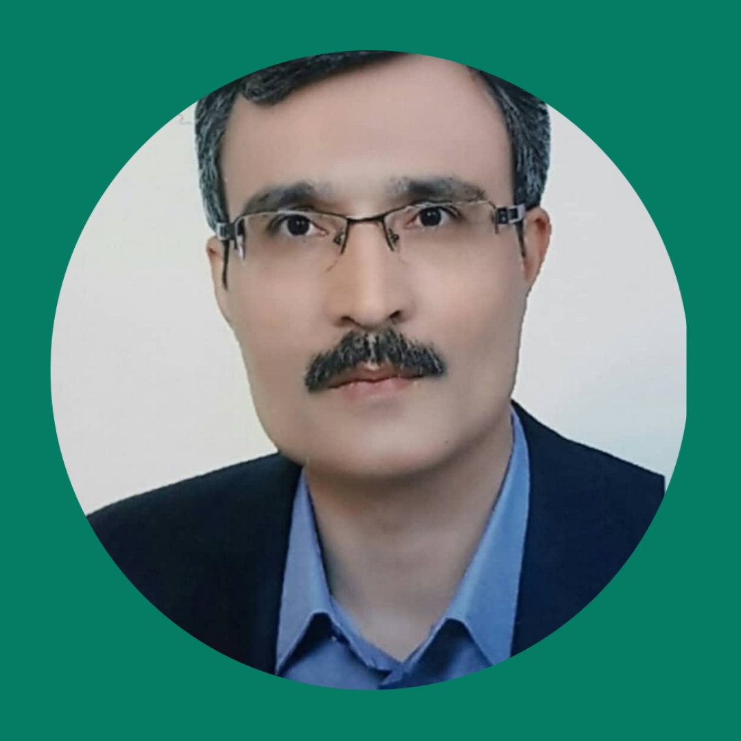 Dr. Seyed Ali Mosavi